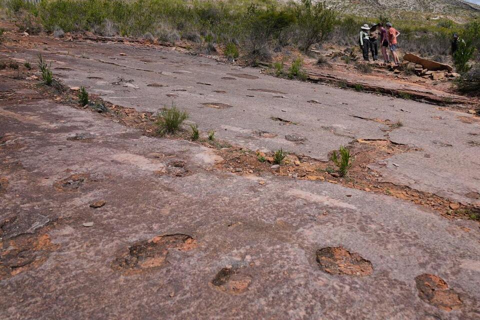 Dino Footprints Galore in Bolivia!