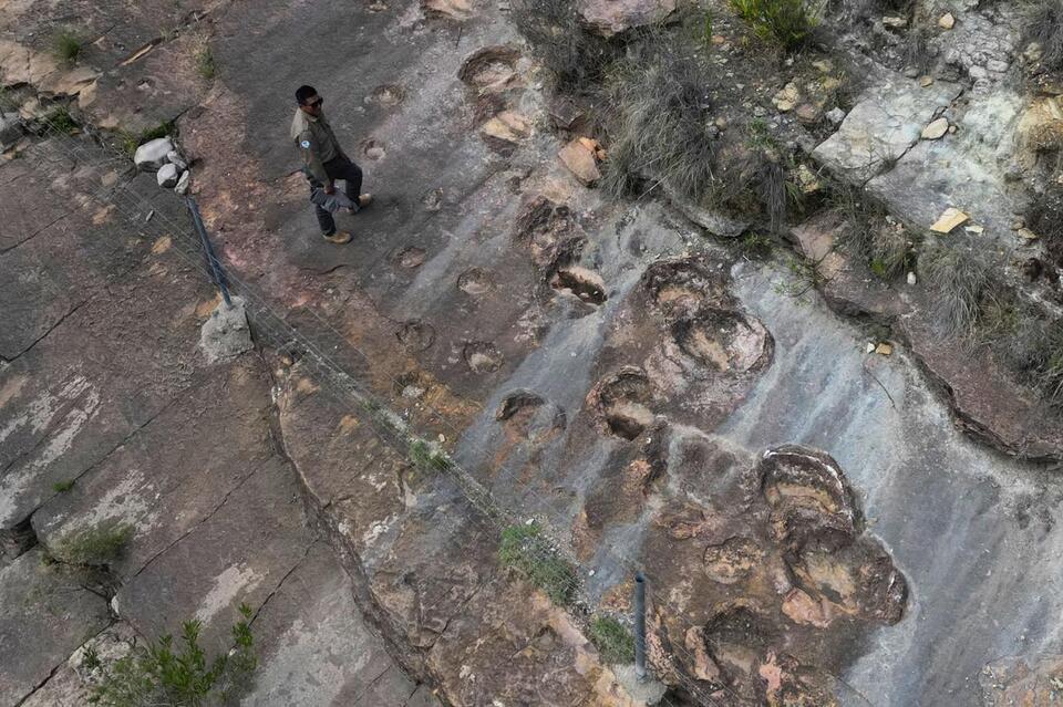 Dino Footprints Galore in Bolivia!