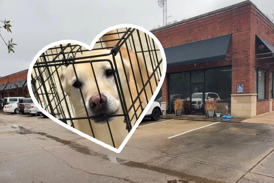 Auburn’s Woof Avenue Rescue finds a new home