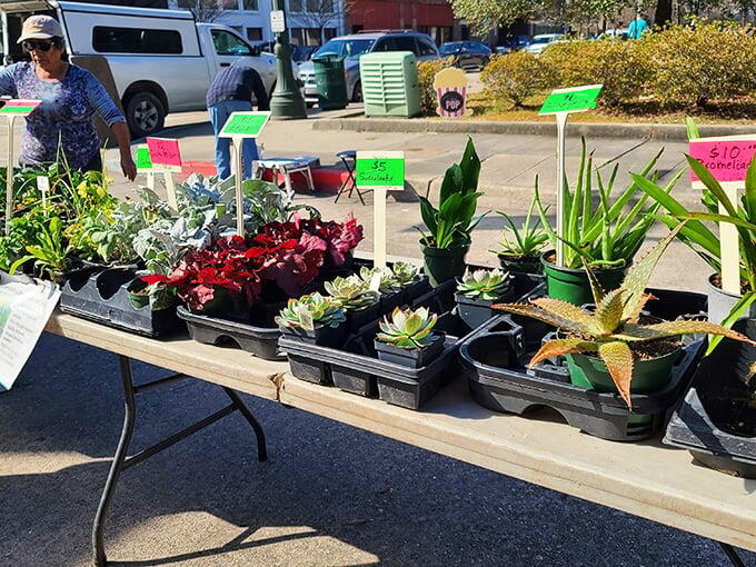 Baton Rouge’s $35 market haul: Local magic