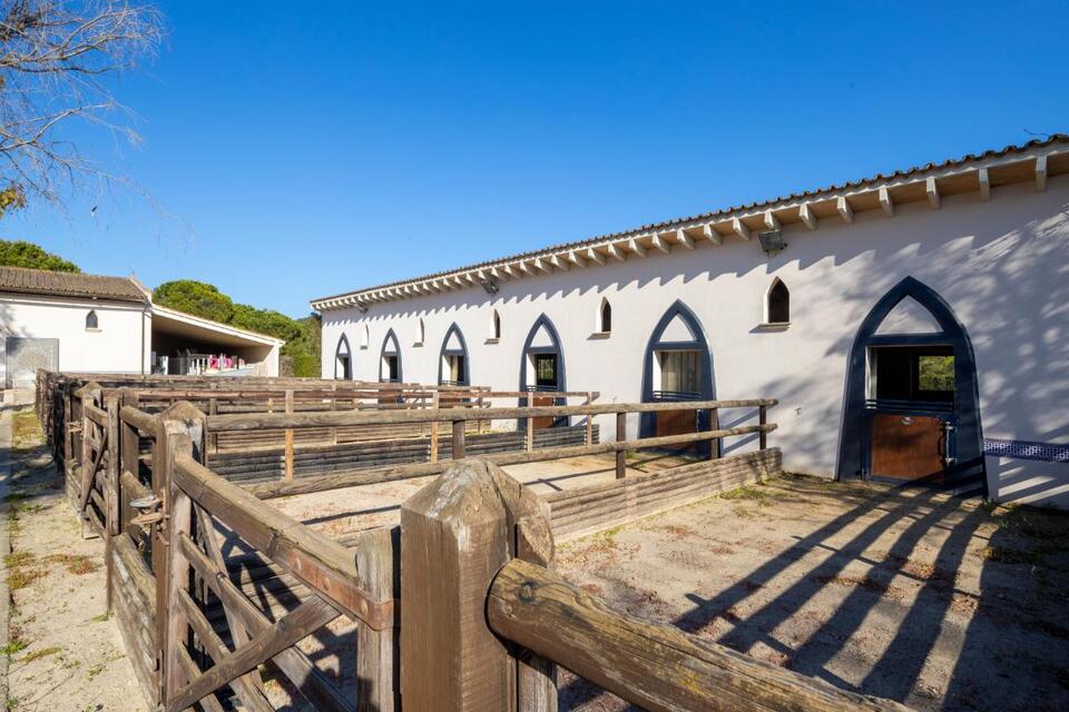 Would You Airbnb a $101M Mallorca Mansion?