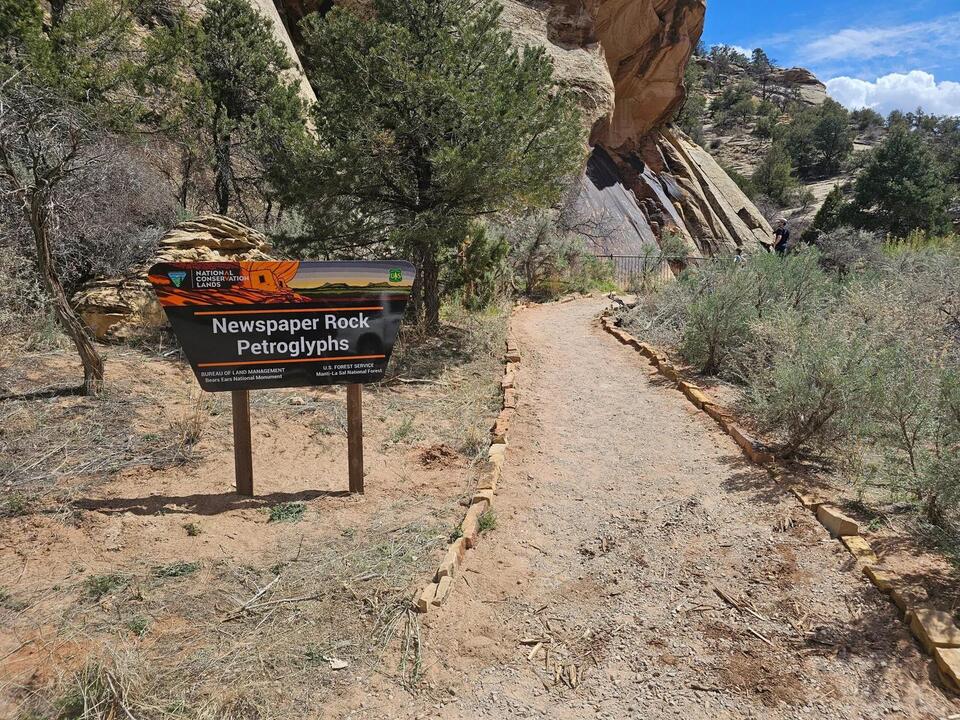 Ancient roads that defy the desert