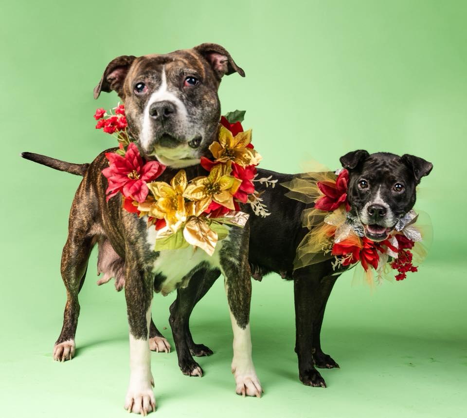 Atlanta neighbors: Tamera needs us now