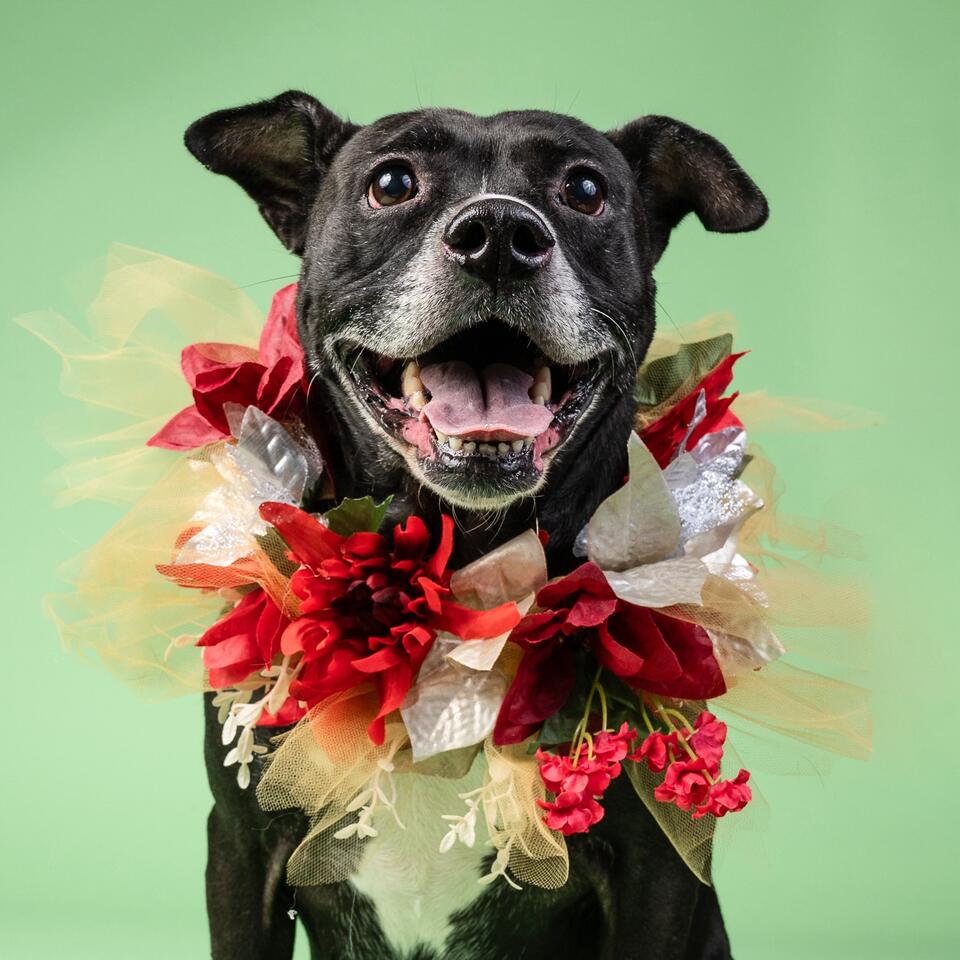 Atlanta neighbors: Tamera needs us now