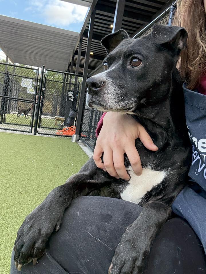 Atlanta neighbors: Tamera needs us now