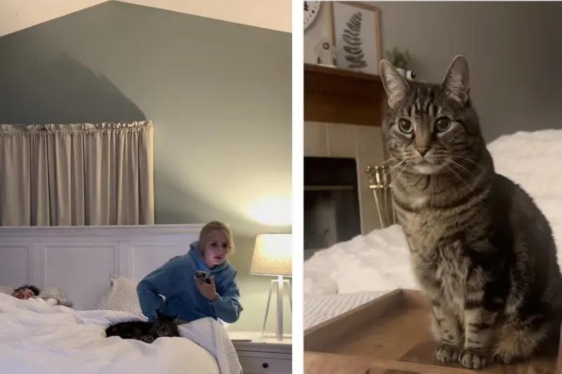 Milo the cat’s bedtime drama has us laughing