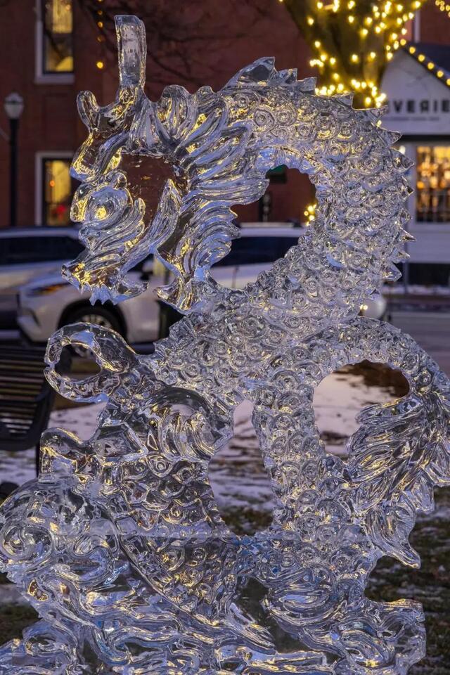 Ice Sculptures: Too Pretty to Melt? ❄️