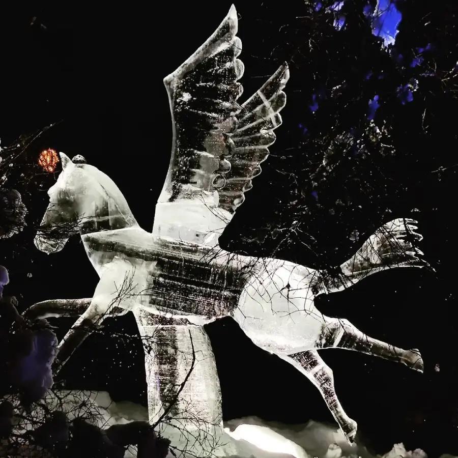 Ice Sculptures: Too Pretty to Melt? ❄️