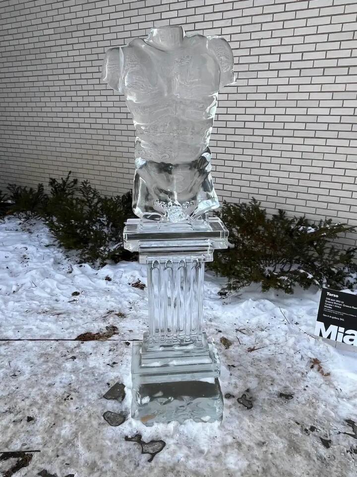 Ice Sculptures: Too Pretty to Melt? ❄️