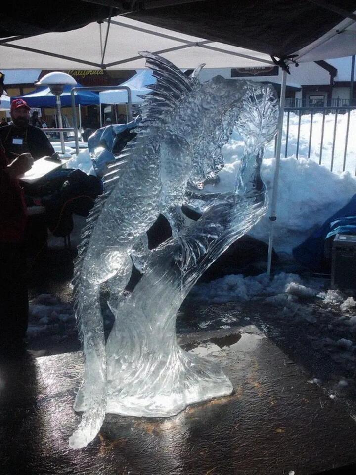 Ice Sculptures: Too Pretty to Melt? ❄️