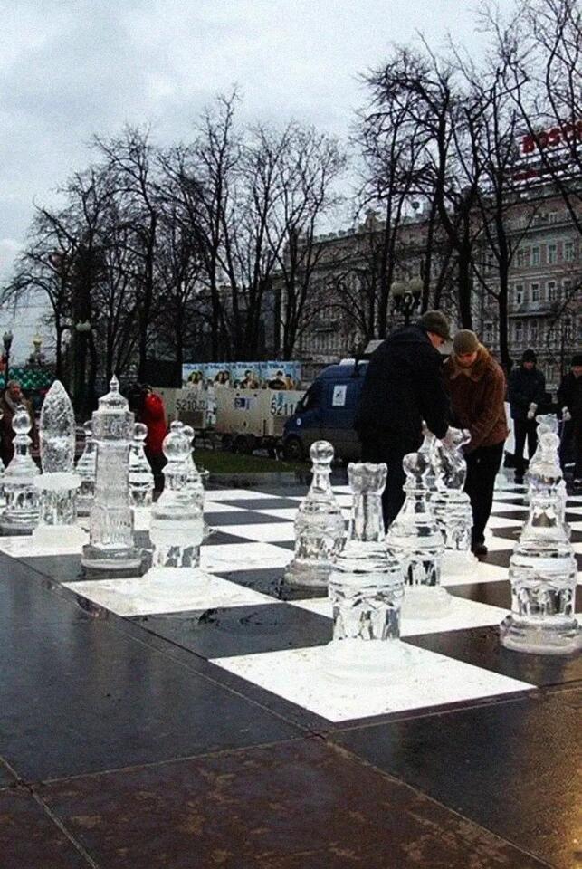 Ice Sculptures: Too Pretty to Melt? ❄️