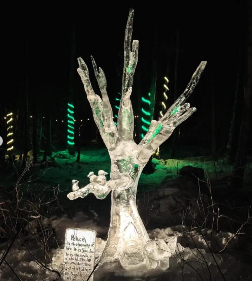 Ice Sculptures: Too Pretty to Melt? ❄️