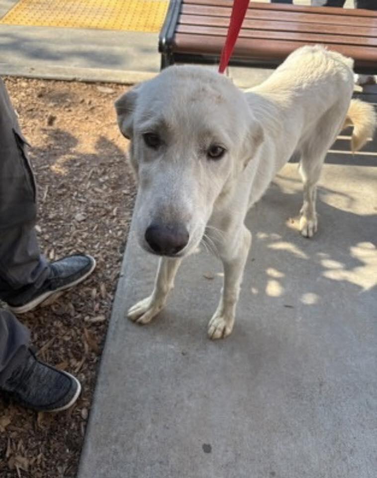 Atlanta’s Estrada needs a home tonight