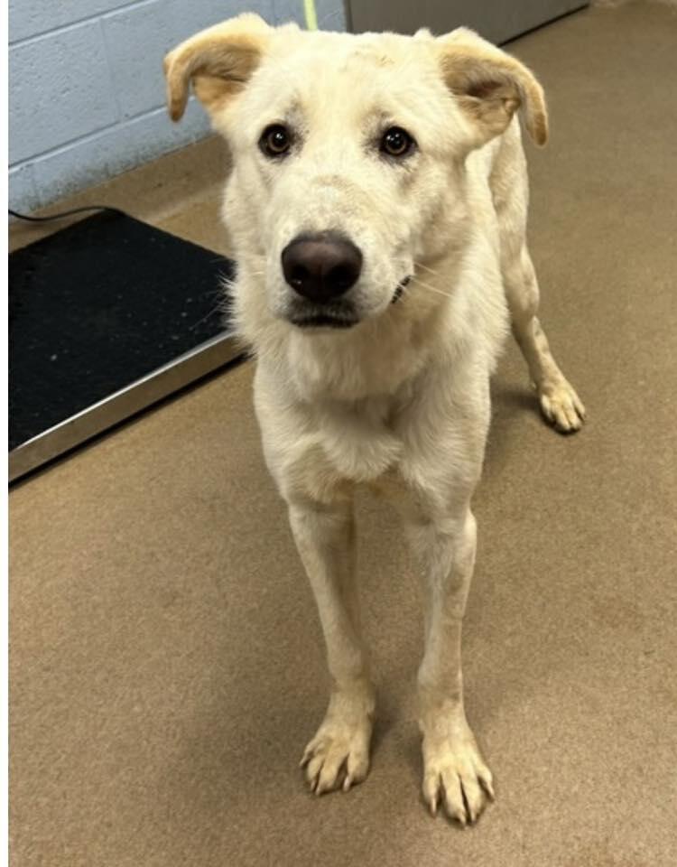 Atlanta’s Estrada needs a home tonight