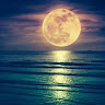 Dusky_Dawn
