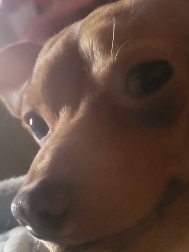 M H