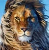 Kathy Kingdom King
