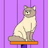 Patty Magnee