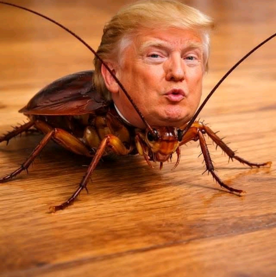 tRump-sux