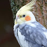 T M