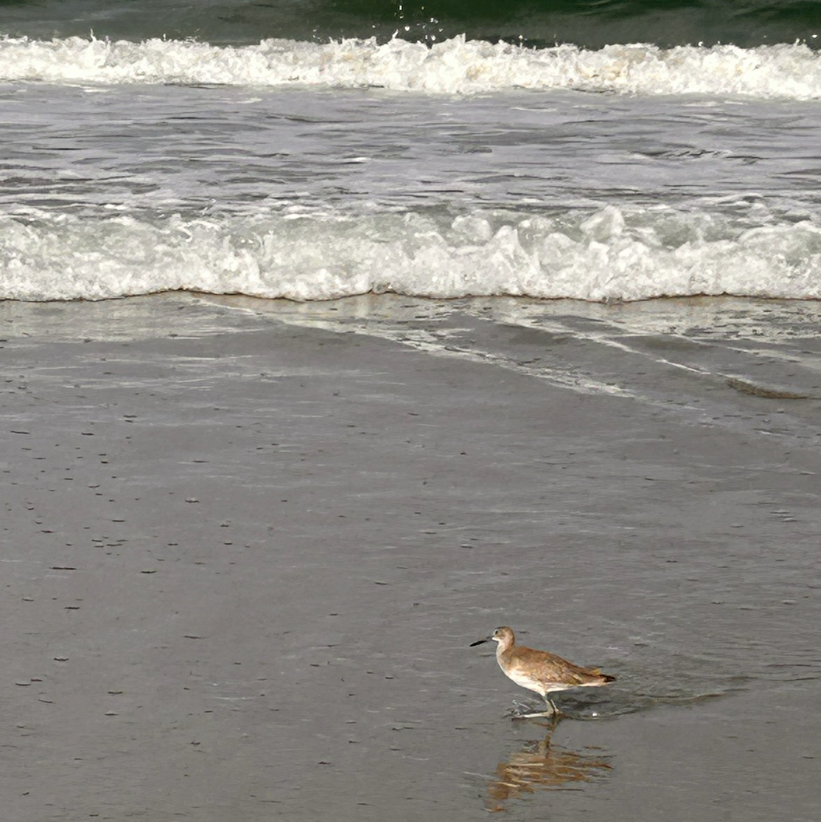 ByTheSea