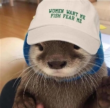 Otter Quit