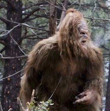 🌲BigFoot (R)🌲